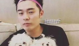 娱乐圈内幕爆料杨颖陈赫,杨颖陈赫幕后真相大曝光